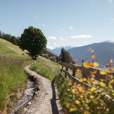 Ein schmaler Wanderweg führt entlang eines kleinen Wassergrabens durch eine sonnige Bergwiese, flankiert von einem Holzzaun und im Hintergrund sind Berge zu sehen.